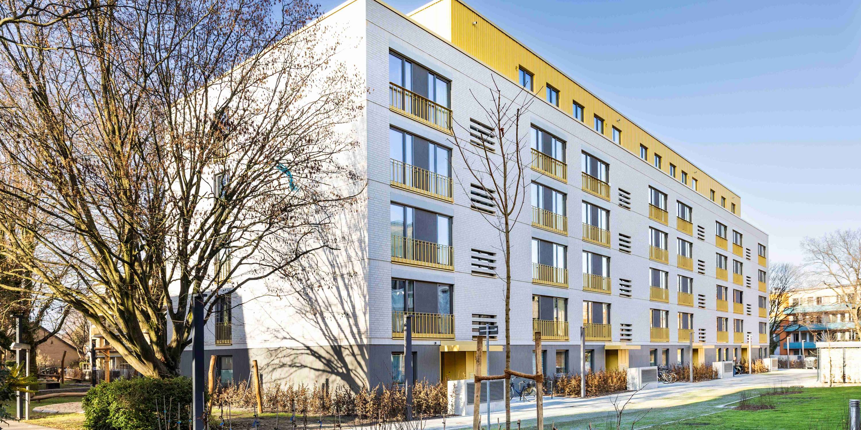 Detailaufnahme eines Fensters von innen, die die hochwertige Verarbeitung und den Blick ins Grüne zeigt.